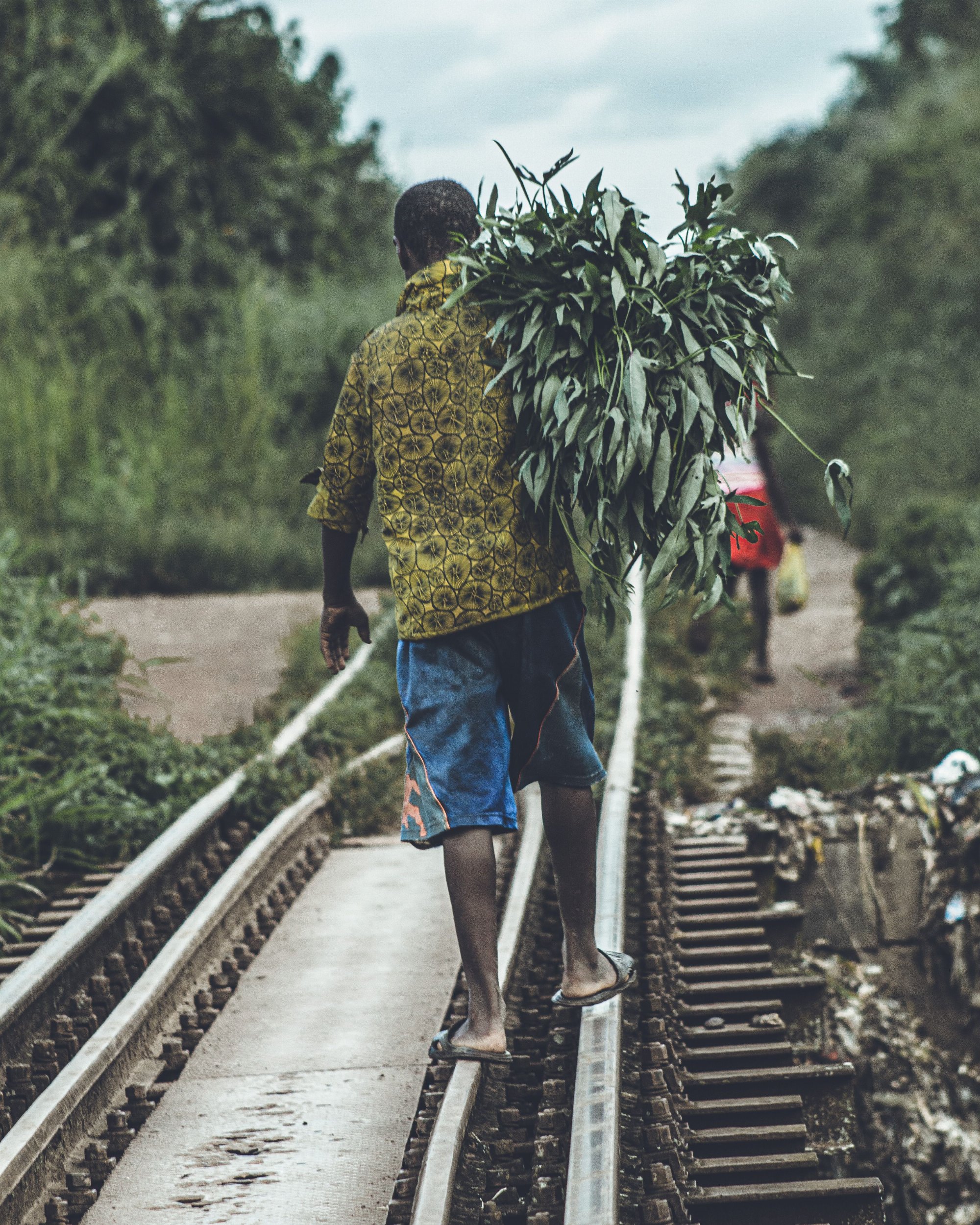 The Connected Harvest