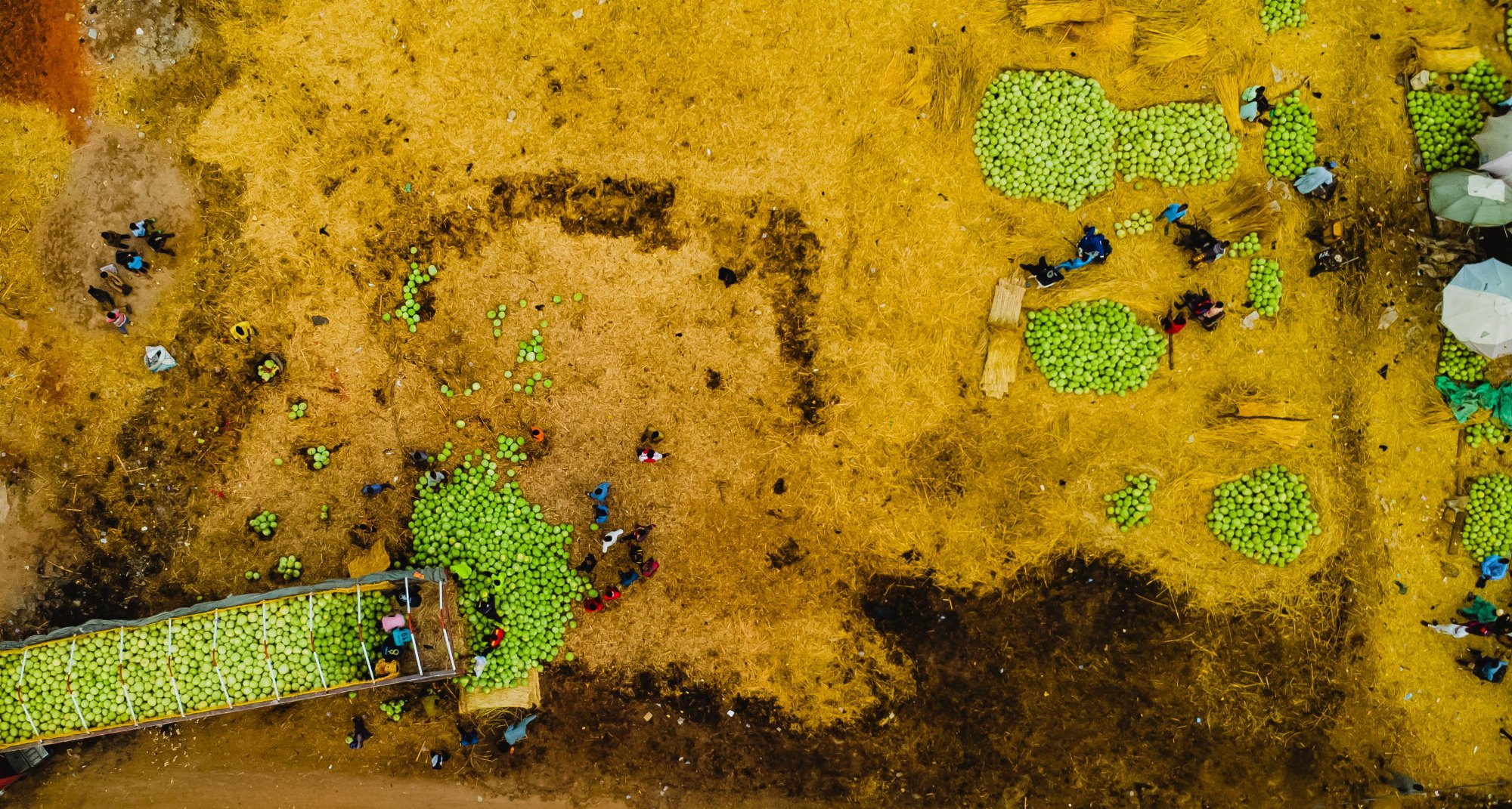 Closing the Gender Gap in Farming, Finance and Climate Resilience