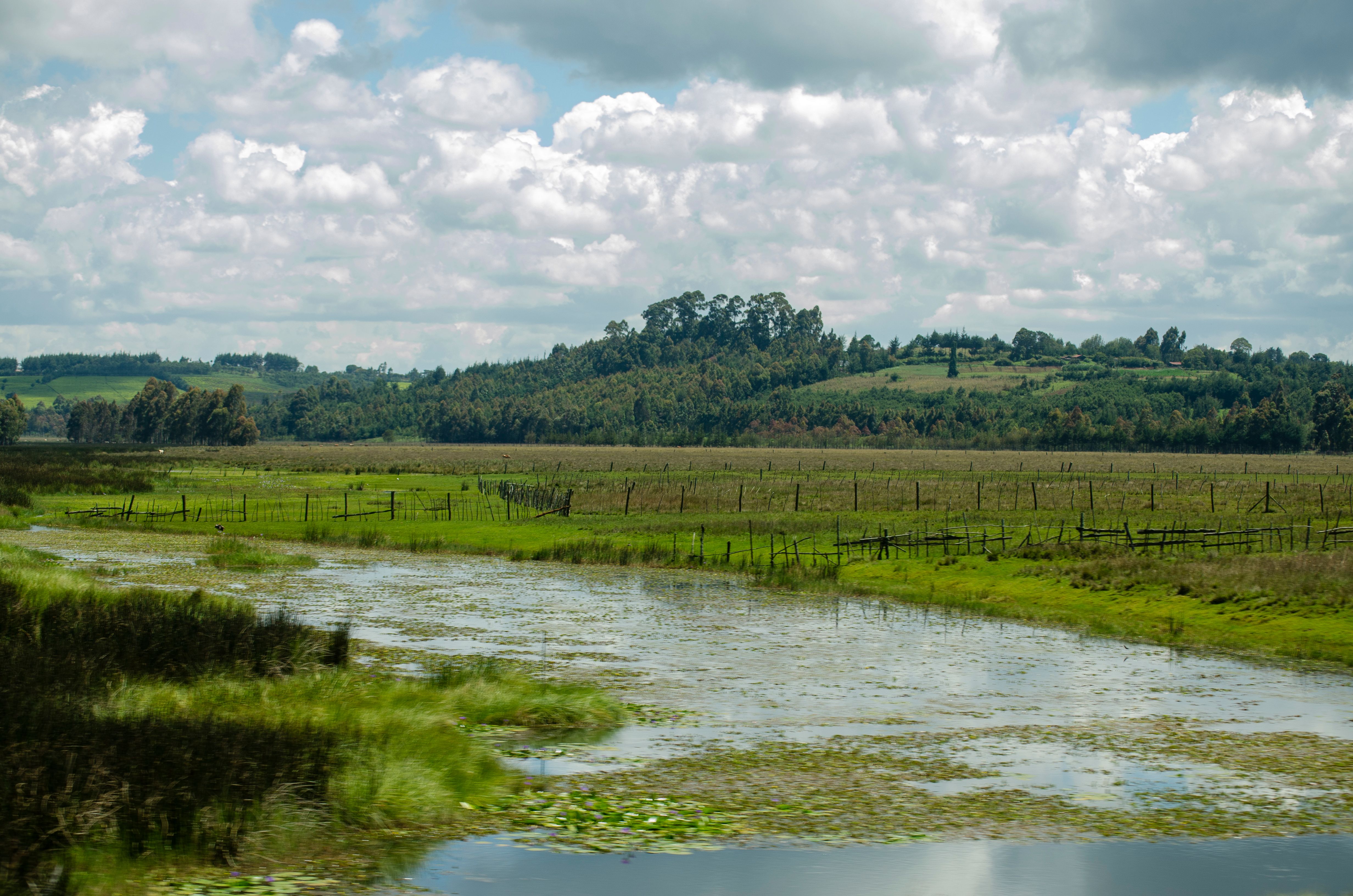 Gathiru Research I: The Water Beneath the Work