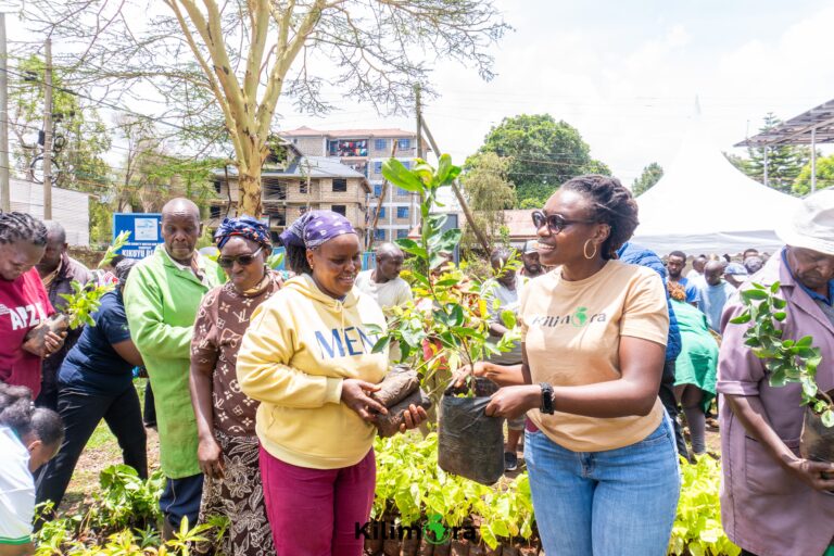 Co-Creation as a Correction Mechanism in African Agri Value Chains