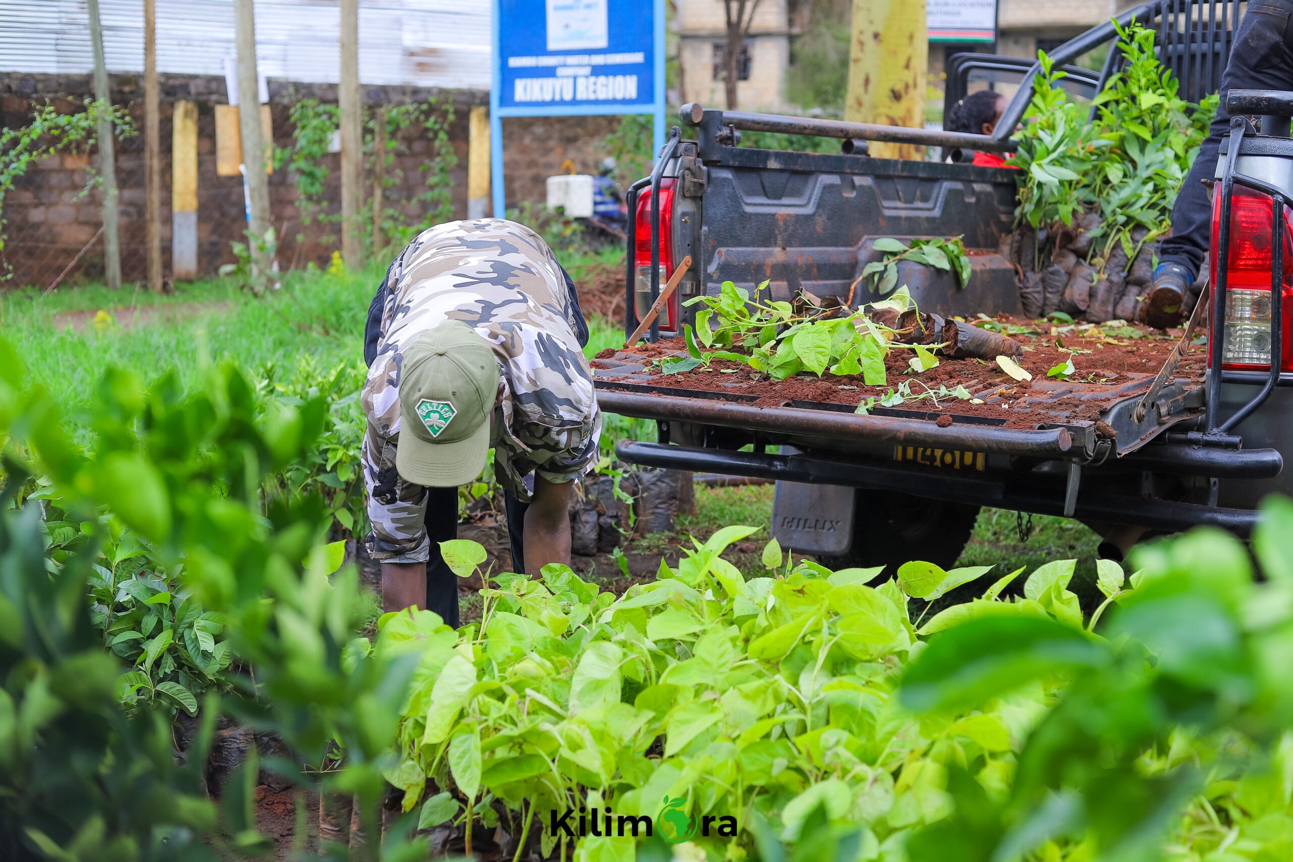 Continuous Policy Integration for Smallholder Climate Action