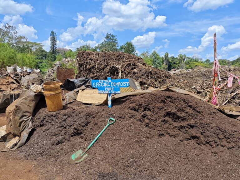 Organic Fertilizers as a System Level Productivity Lever
