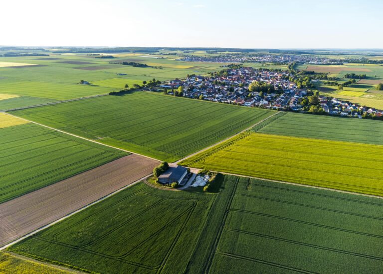 Agri Food Capital Convergence and Reconfiguration in Africa