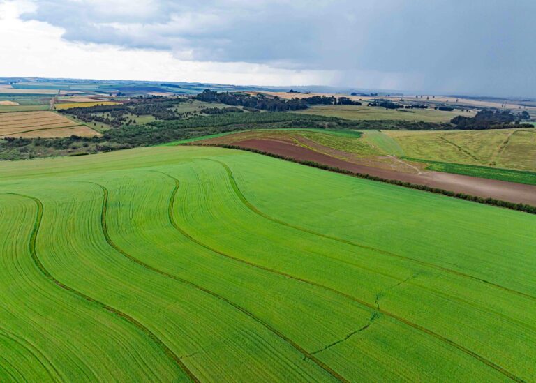 Agricultural Resilience Trends in Namibia, Tunisia, and Côte d’Ivoire