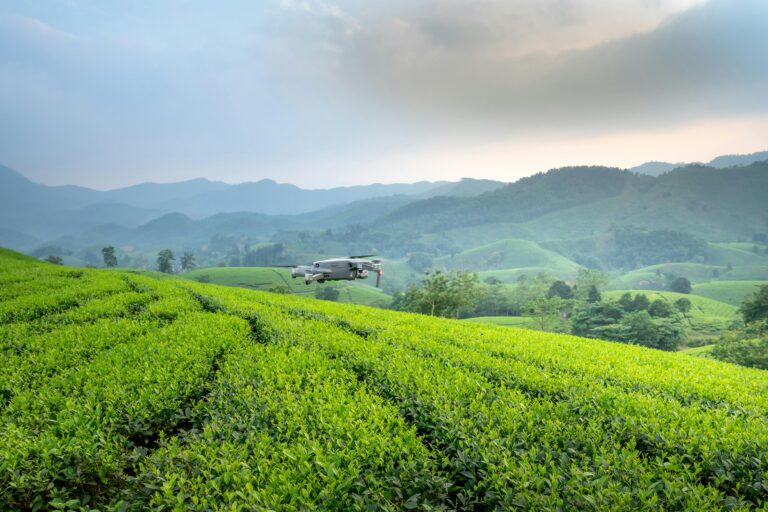 Africa Agriculture Innovation Accelerates Through FinTech Adoption