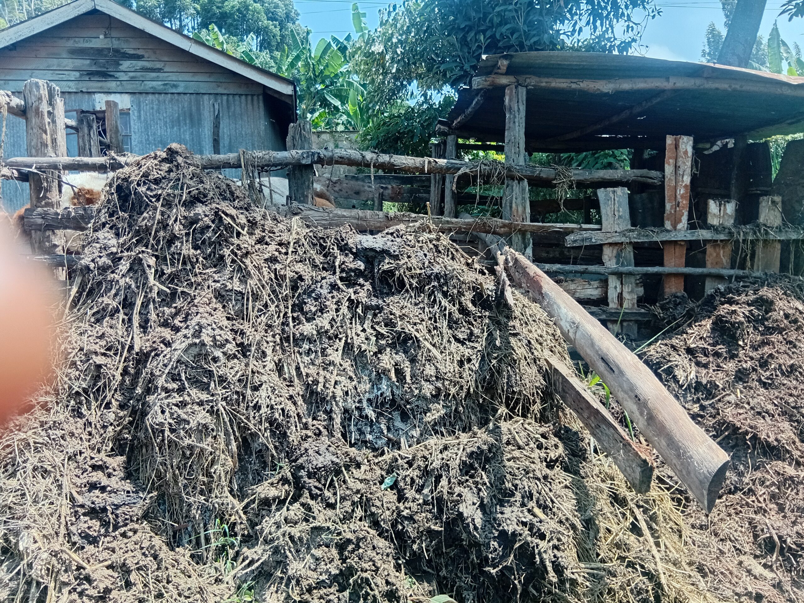 Compost at Mavuno